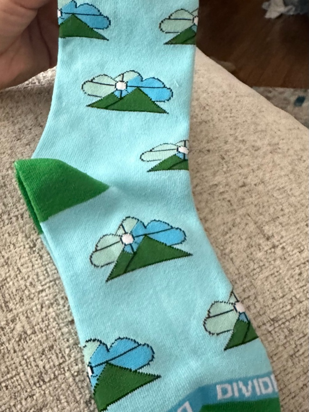 Divided Sky Foundation Socks -Green & Blue-LAST PAIR- from Hampton, VA 2025